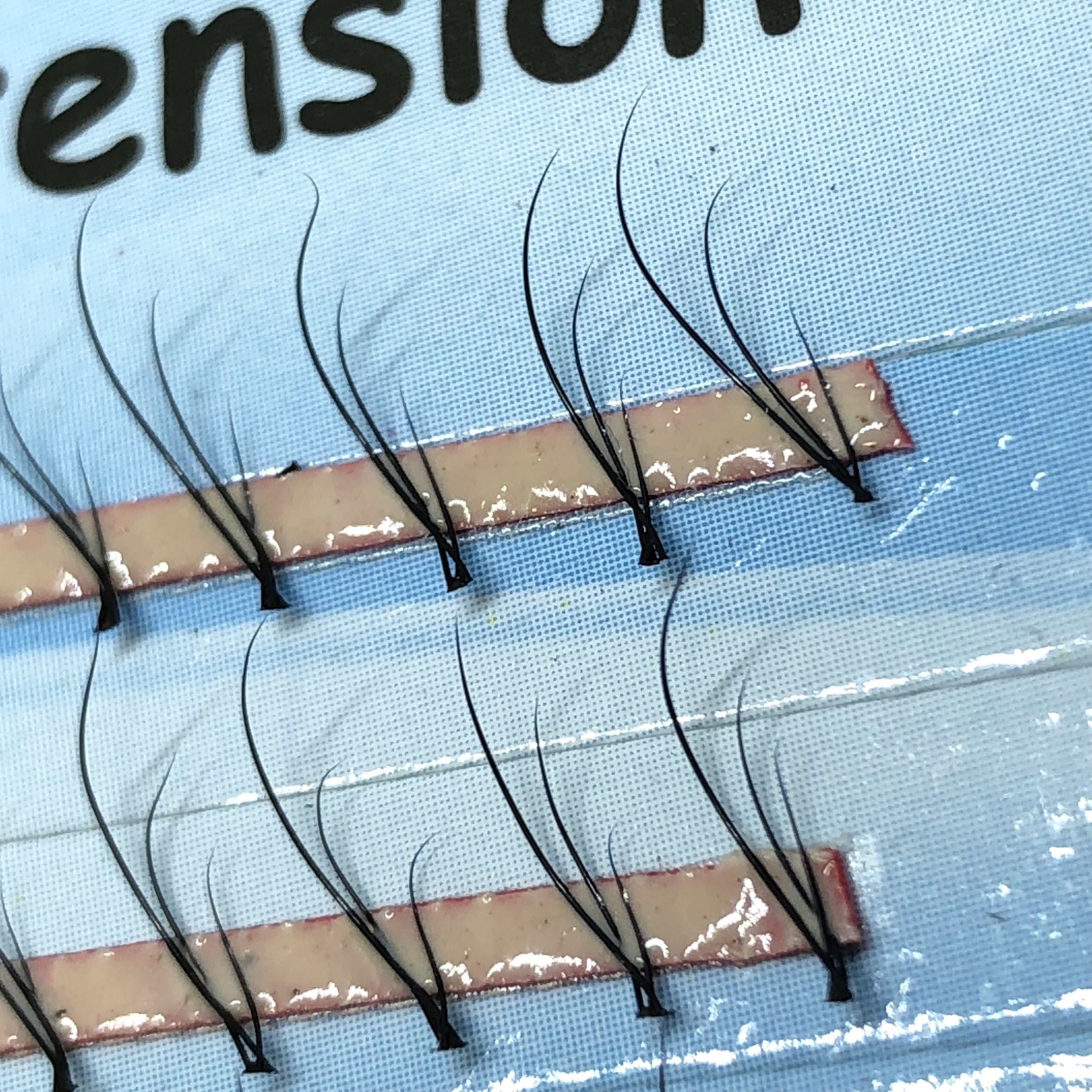 ATL- 3D Lash Tray 8mm