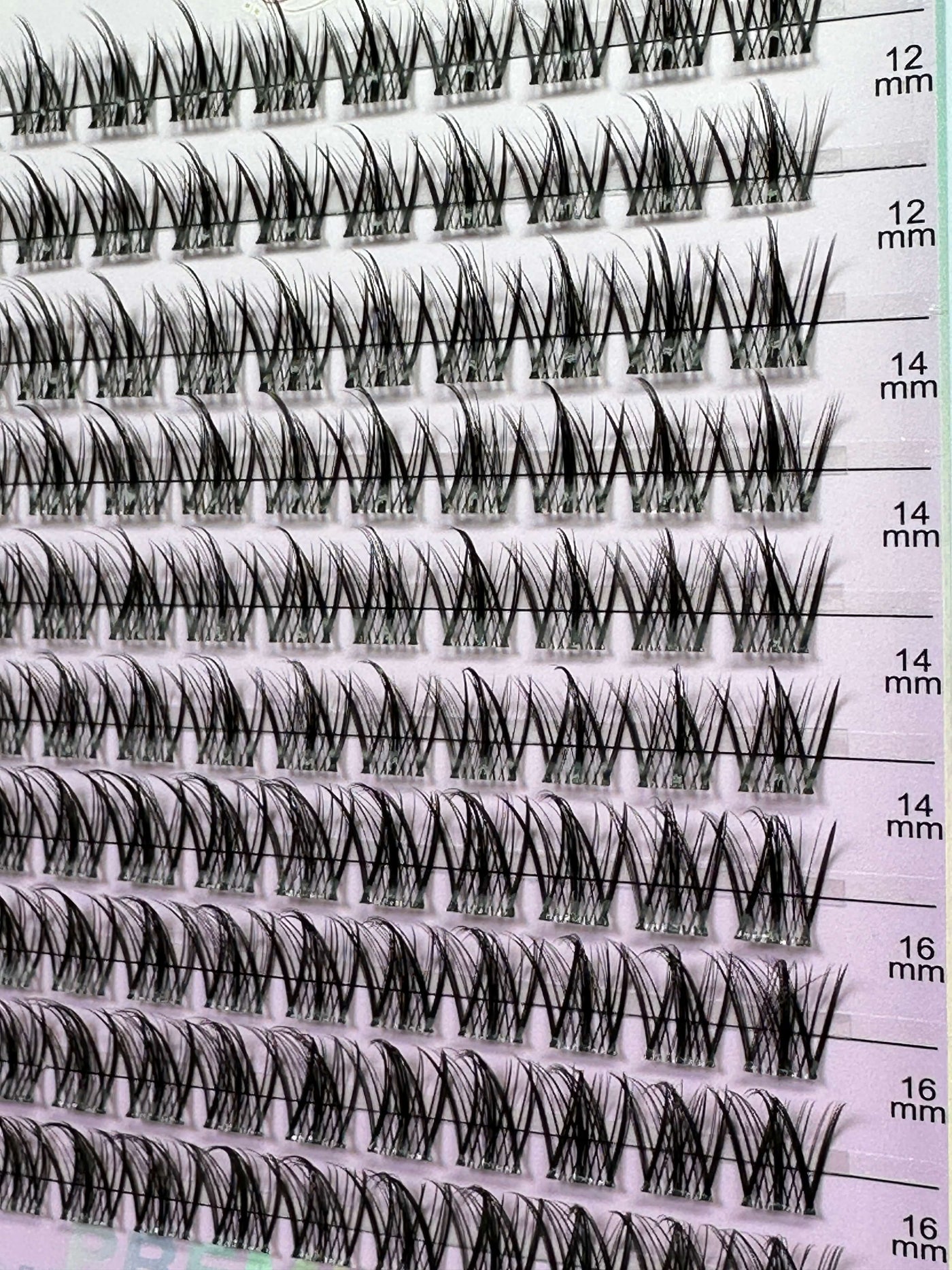 ATL- Bella Barely There DIY Lash Extensions Tray