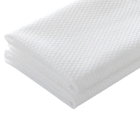 ATL - Disposable Salon Wet Towels