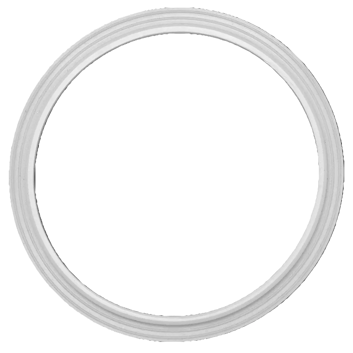 Whale Spa- Jet Silicone Gasket