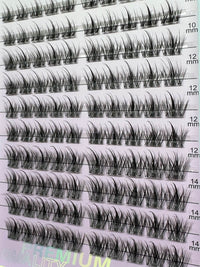 ATL- Bella Star DIY Lash Extensions Tray