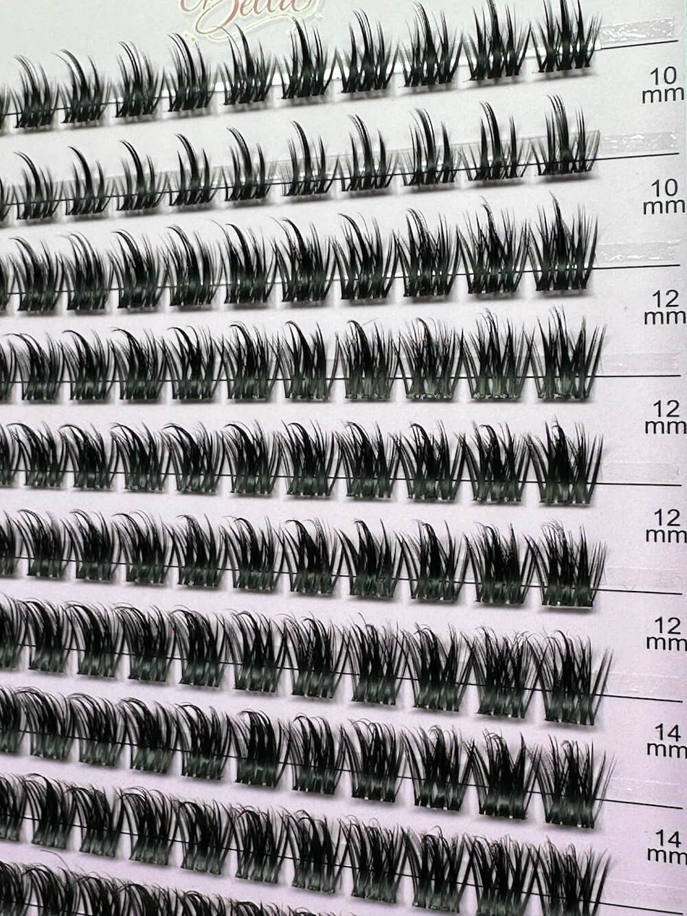 ATL- Bella Whisper DIY Lash Extensions Tray