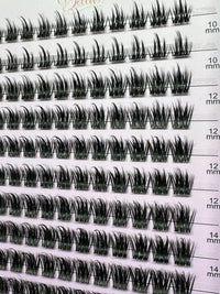 ATL- Bella Whisper DIY Lash Extensions Tray