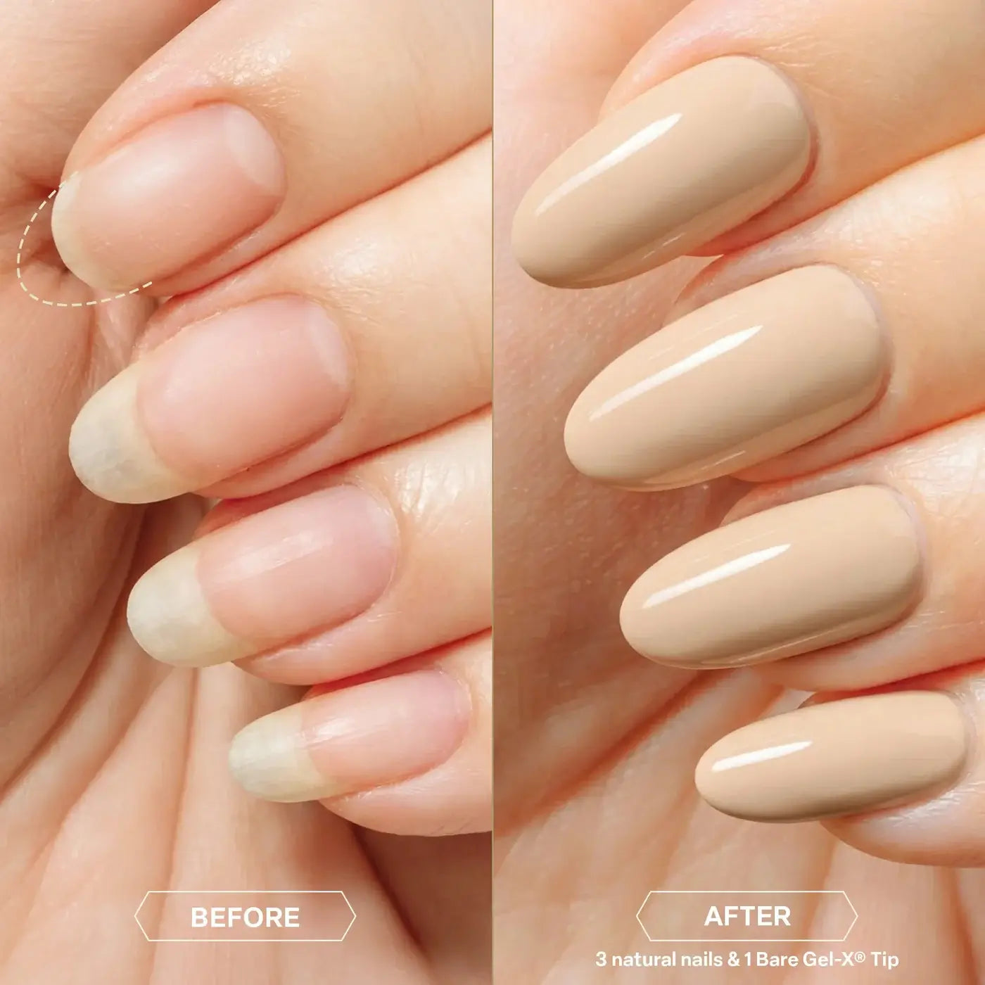 ATL- Bare Gel-X Natural Box of Tips (16 sizes, 280pcs) | APRES