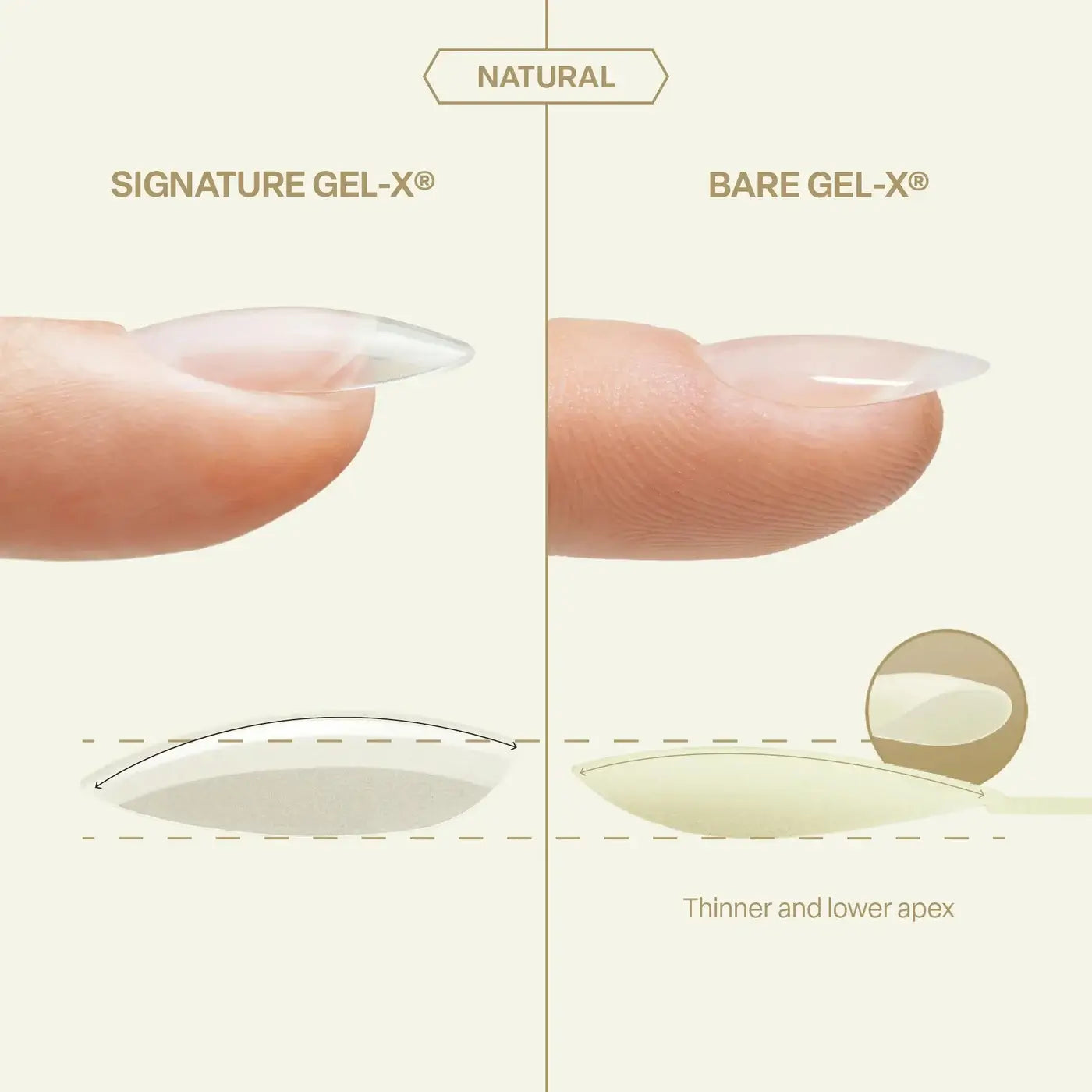 ATL- Bare Gel-X Natural Box of Tips (16 sizes, 280pcs) | APRES
