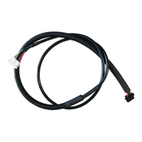 Whale Spa- Caresst PCB to DC Motor Cable