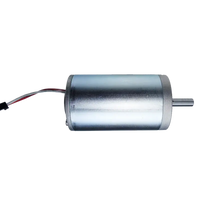 Whale Spa- Caresst DC Motor