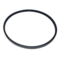 Whale Spa- Belt for Caresst Massage (3in)