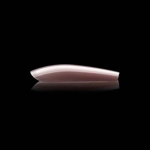 ATL- Gel-X™ Neutrals Mia Sculpted Coffin (Long) Box of Tips | APRES